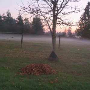 Meet your Posher, Kellie